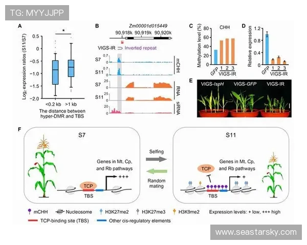 南京篮球队个人能力分析及其对比赛表现的影响研究 南京篮球队个人能力分析及其对比赛表现的影响研究