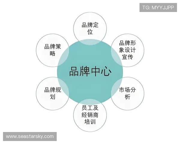 成都足球队运营全景解析：从管理模式到市场策略的深度剖析