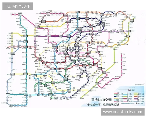 重庆排球队在洲际杯上的实力展现与未来发展潜力分析