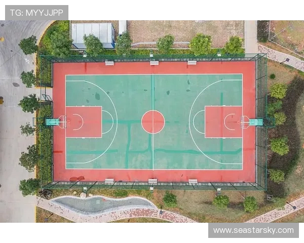 全景呈现篮球明星全面成长之路与赛场传奇背后的不为人知精彩故事