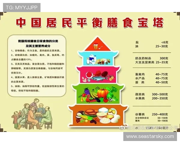 全面提升体能与健康的运动方法探索与实践建议